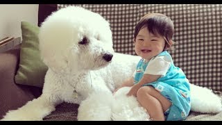 Baby Copies Dog Baby thinks It s a Dog! Dogs With Babies by Dogs With Babies 21 views 6 years ago 3 minutes, 40 seconds