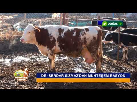 MUHTEŞEM RASYON/ DENİZLİ-ÇARDAK (3.BÖLÜM)