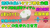 孵化効率4倍 タマゴを効率よく孵す方法 ポケモンソードシールド 剣盾 Youtube