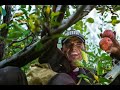 Copyright Free Stock Footage*Happy People*People Having Fun*Loop*Royalty Free*No Audio*