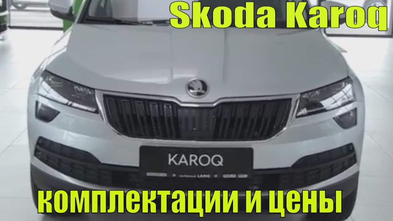 Аксессуары шкода карог