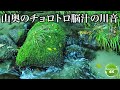 睡眠をとって元気な1日を過ごせる心地いい川の音