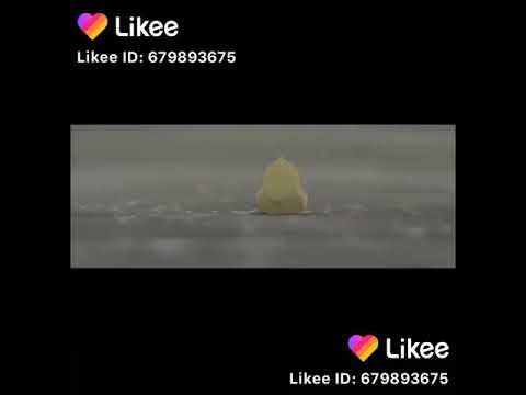 كل عام وانتي بخير يا اميره الكون