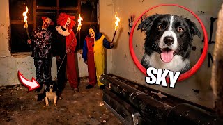 ACHEI A SKY NA CASA DO PALHAÇO 🤡!! 🐶