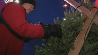 Stolen Christmas trees