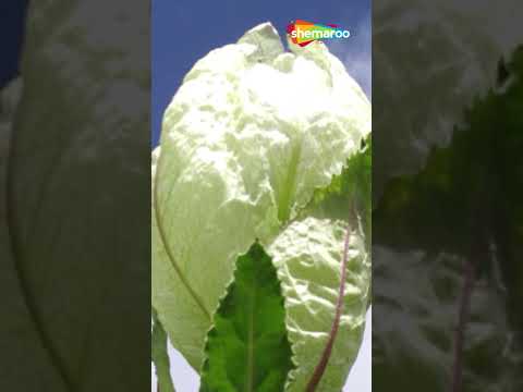 Watch on YouTube