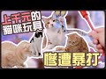 【魚乾】上千元的貓咪玩具，慘遭妹子暴打！