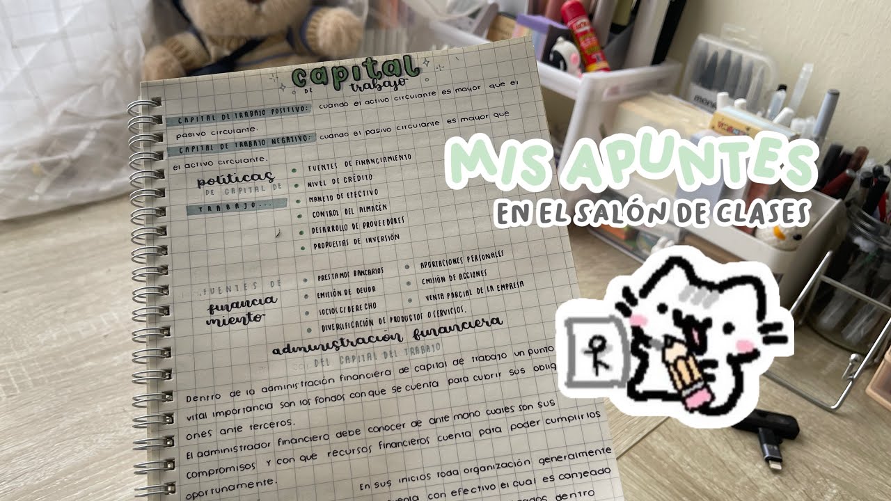 Así hago mis apuntes en clases escribiendo lentísimo 😭📓