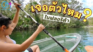 จะเจอไหม? ตามหาสัตว์ขึ้นชื่อในรัฐฟลอริด้า อเมริกา #มอสลา | Kayak-Weeki Wachee,Florida USA