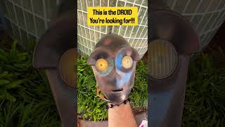 This is the droid you’re looking for!! #maythe4thbewithyou #starwars #disney