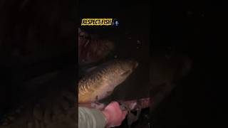 Always treat fish with respect #respectfish #carpfishing #southafrica #specimencarp