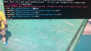 Bug fivem script error
