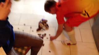 Easter egg drop kick fail