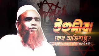 মুফতি আব্দুল হালিম কাসেমী মুক্তাগাছা | ইহুদীরা যেই কারণে অভিশপ্ত? -Abdul Halim Kasemi New waz