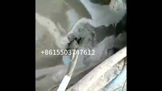 Pig Dung Dewatering machine for making organic manure chicken feces solid liquid separator live demo