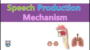 Speech Production Mechanism