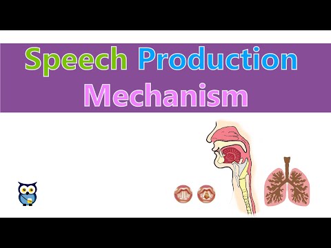 Speech Production Mechanism