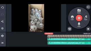How To Add Echo Effect In Video With Kinemaster In Hindi/Urdu | short || Fines Tech screenshot 2