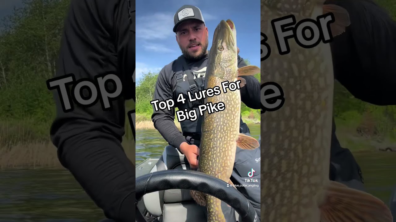 My Top 4 Lures For Big PIKE Fishing Fishingvideo Pike Outdoors Adventure Canada