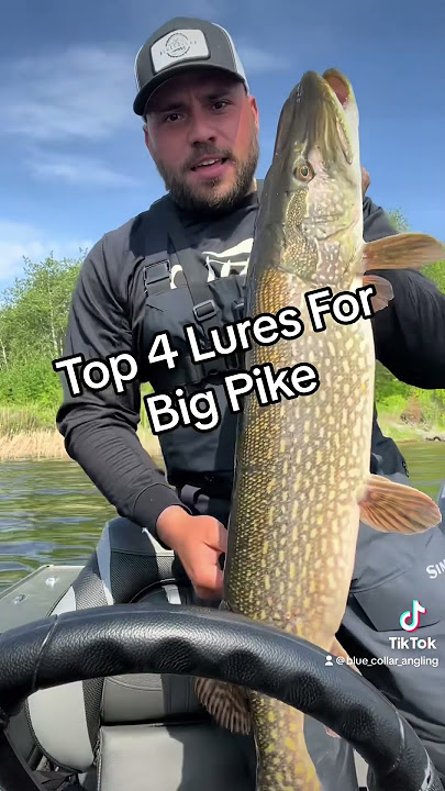 BEST Bait for BIG Northern Pike! 