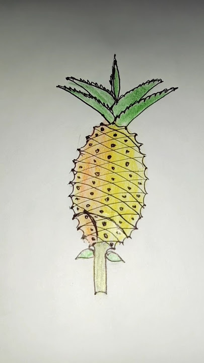 Pineapple/আনারস easily drawing…#pineapple #আনারস #easy #drawing #art #ritu'screation