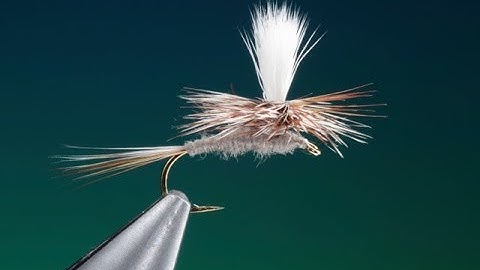Fly Tying a Parachute Adams dry fly with Barry Ord Clarke
