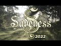 Enigma Sadeness Part 1 Cover By Igor Gorelov 2022