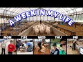 WHAT DOES A SHEEP FARMER DO?  |  A WEEK IN MY LIFE.  Vlog 334