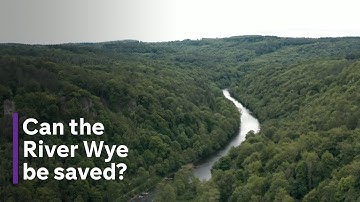 Living by a ‘dying river’ - how pollution has put the Wye into decline