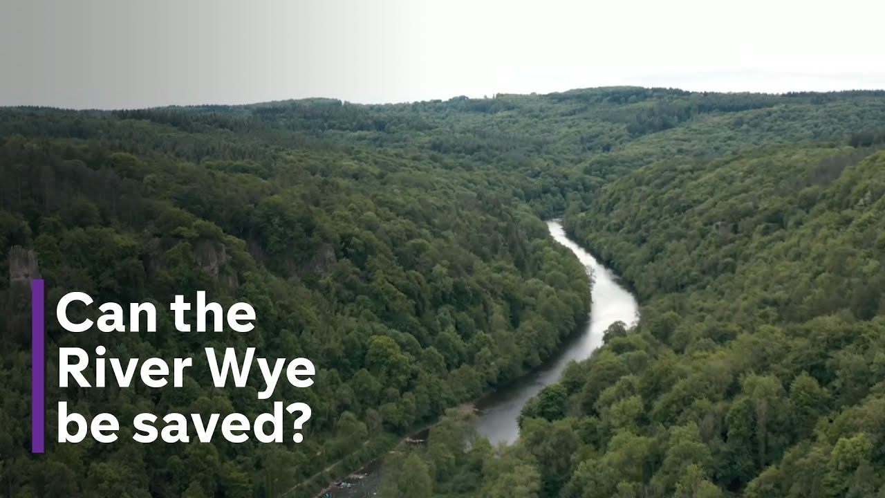 Living by a ‘dying river’ – how it has polluted the declining Wye