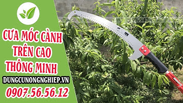 Cưa cong cắt cành giật nhánh trên cao HM237 | Dungcunongnghiep.vn