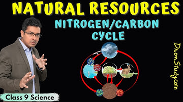 Nitrogen Cycle | Carbon Cycle | Biogeochemical Cycles | Natural Resources Class 9 Science