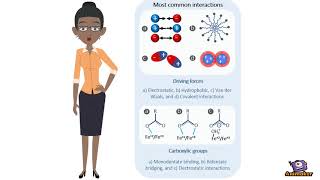Interaction at the bio-nano interface