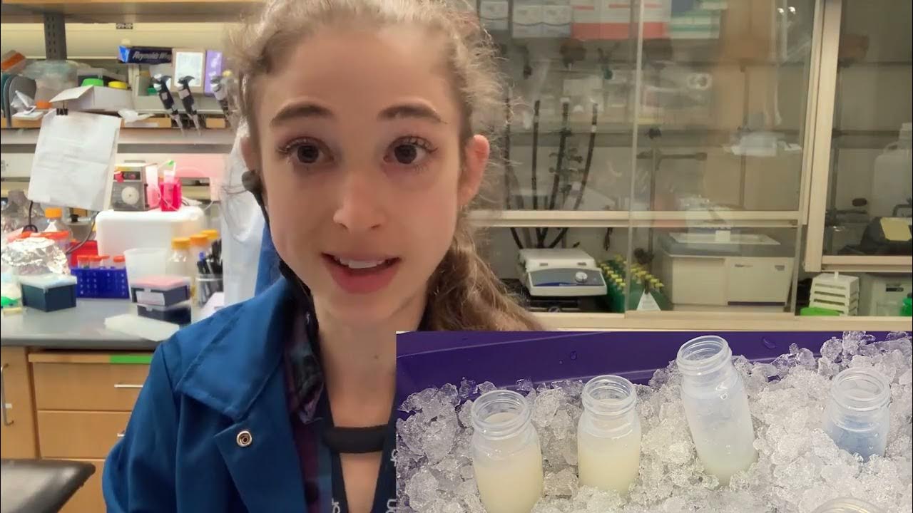 Tips for efficiently balancing and preparing centrifuge tubes YouTube