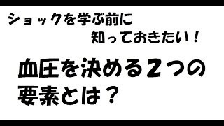 ショックを学ぶ前に知っておきたい 「血圧を決める大きな２つの要素」とは？