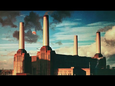 Roger Waters For Pink Floyd - Animals Radio Interview (1977) - YouTube