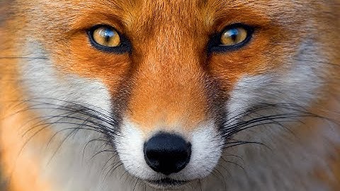 Pathfinder The Lord of Nothing Playful Darkness Unfair