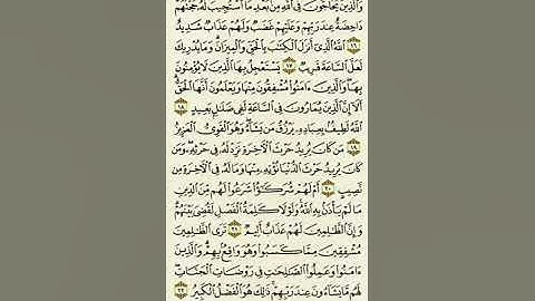 سورة الشورى من الآية ١٦ إلى الآية ٢٢بصوت القارئ ماهر المعيقلي