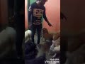 Dog's House। pet's world। pet's house। Pet's। Dog's। Kolkata।