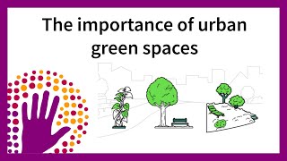 The importance of urban green spaces