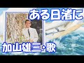 ある日渚に / 加山雄三