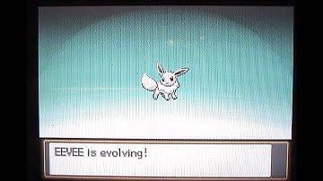 Shiny Umbreon Pokemon Heartgold Masuda Method