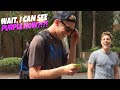 Purple is CRAZY!!! Color blindness glasses test!