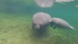 Phyllis and Youngster