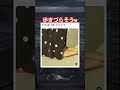 これは逆に良くないのではw #shorts#tiktok#Twitter#おもしろ#お笑い#おすすめ#パンプス #面白い#おもしろ動画#爆笑#バズれ