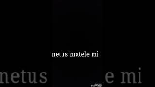 Ignetus Matele Mi