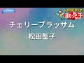 【カラオケ】チェリーブラッサム/松田聖子