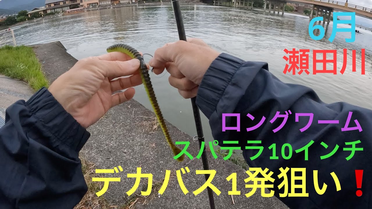 Bass Fishing] Spatula 10in❗️ Aiming for a big one❗️ Lake Biwa