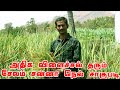 அதிக விளைச்சல் தரும் சேலம் சன்னா நெல் சாகுபடி | Salem sanna nel sagupadi | Salem Sanna Rice