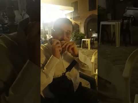 O #Susanna #dopo l'#incidente #stradale... #Oh #don't #you #cry #for #me #harmonica